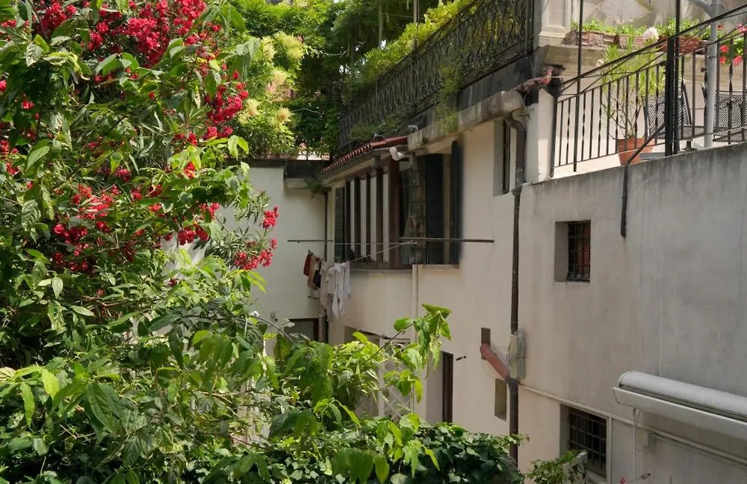 Melusina Homes Venice Historical Center-1